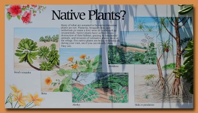 Native Plants Sign