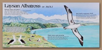 Albatross Sign