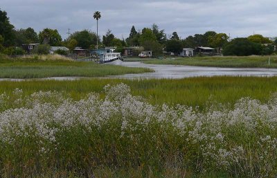 Gallinas Creek & Boat