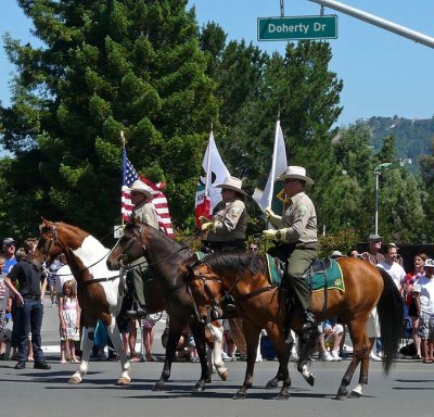 County Sheriff Horses