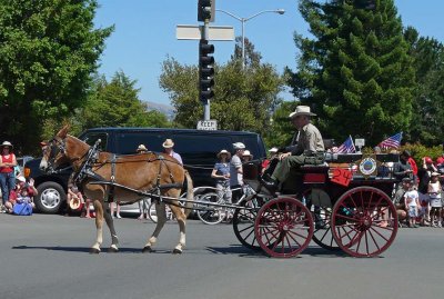 Donkey With Sheriff's Wagon
