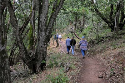Along the Trail
