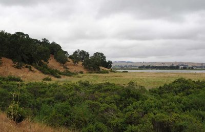View To Creek