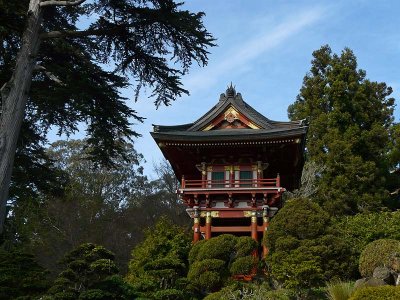 Pagoda in the Trees