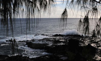 Pine-Framed Waves and Lava Bed