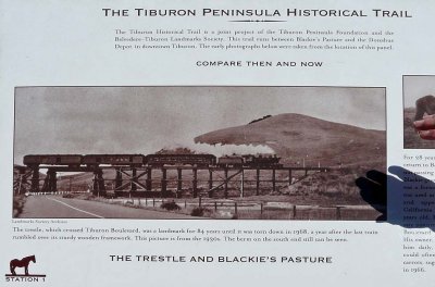 Tiburon Peninsula Trail Sign