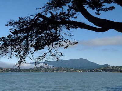 Mt. Tam Framed