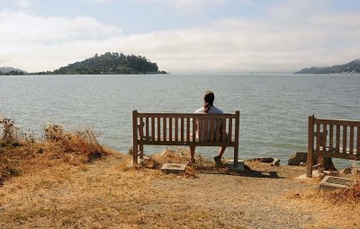 Bench with a View