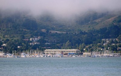 Sausalito Boats