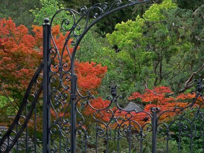 Fall Colors and Wrought Iron