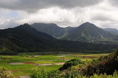 Hanalei Valley Lookout