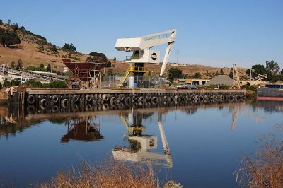 Not-So-Wild Crane Reflected