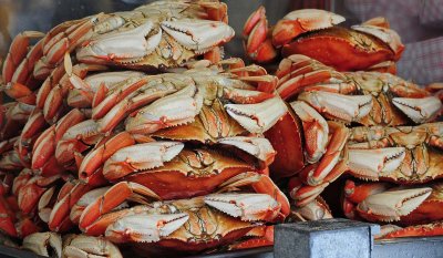Stacked Crabs