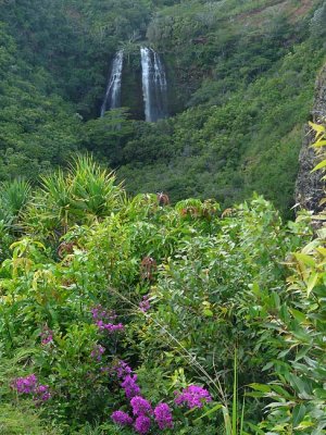 Waterfalls on Kauai