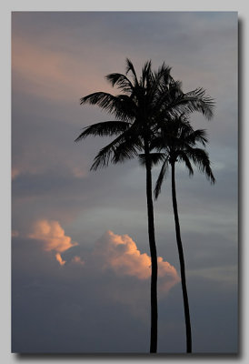 Aloha, Hawaii!