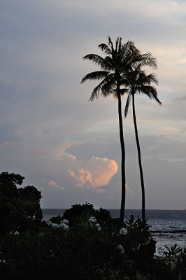 Palms, Sunset and Beach