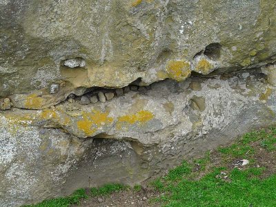 Stone Crevice