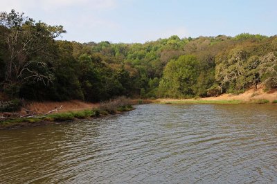 Quiet Cove & Trail