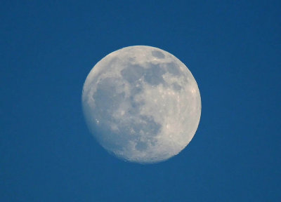 Almost Full Moon