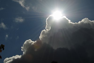 Sunburst