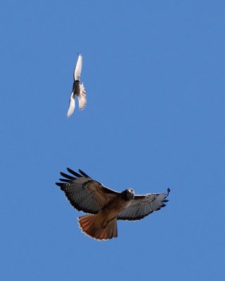 g4/34/494634/3/138735458.Z1DAZ6Cs.jpg