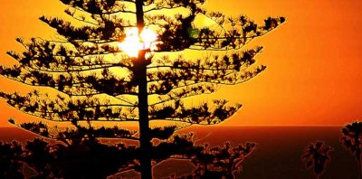 Sunset 08