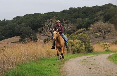 Riding Towards Us