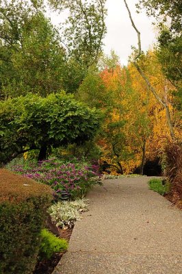 Colorful Walkway