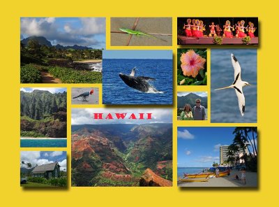 Hawaii Collage