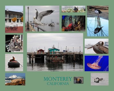 Monterey Collage