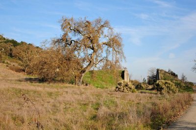 Oak and Ammunition Blast Wall Ruins