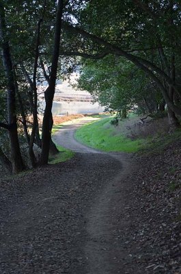 Trail to Marsh