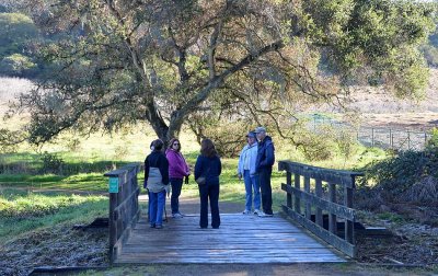 Group at Bridge