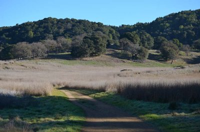 Pleasant Path