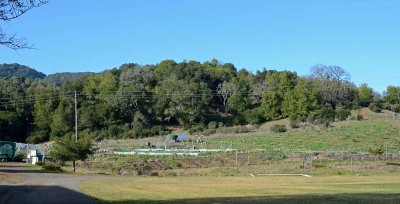 Indian Valley Organic Farm & Garden