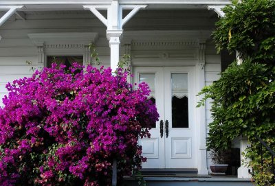 Porch & Bouganveilla