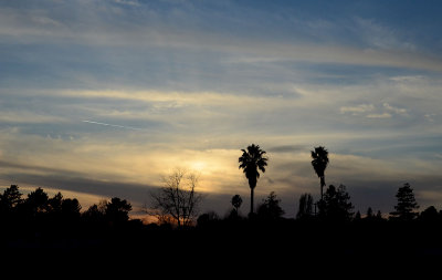 Sunset Drive
