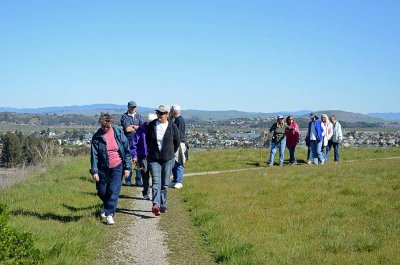 Group at the Top