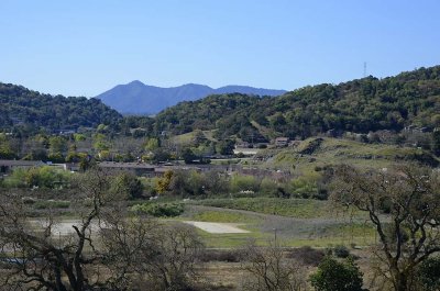 View of Mt. Tam