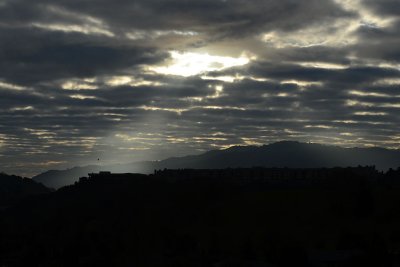 Spotlight
