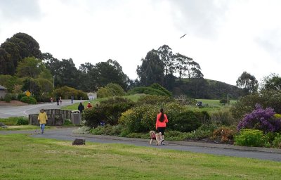 Busy Park