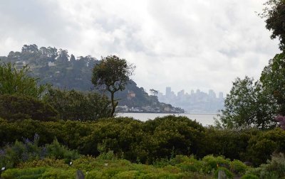 4/11/12: Belvedere Island and San Francisco