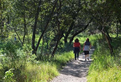 A Walk In the Woods