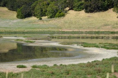 Marsh Curves