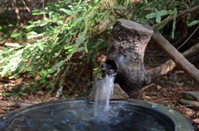 Watering Hole