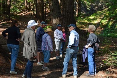 The Group at the Watering Hole