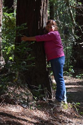 Tree Hugger - Cindy