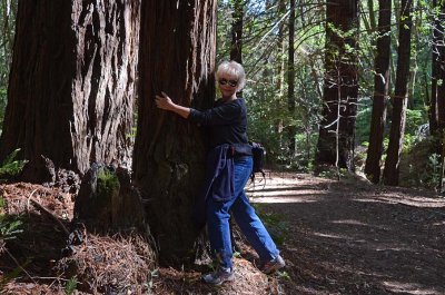 Tree Hugger - Juanita