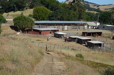 Stables