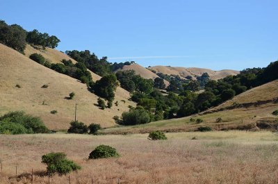 Valley and Hills